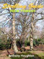Click to read this book