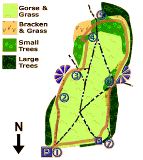 Gorley Common Map
