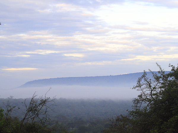 Dawn Mist,Lake Mburo National Park