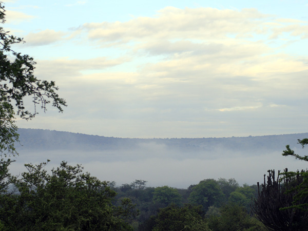 Dawn Mist,Lake Mburo National Park