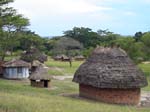 Ishasha Camp