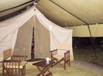 Ishasha Wilderness Camp
