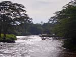 River Ishasha