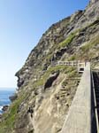 The Bridge