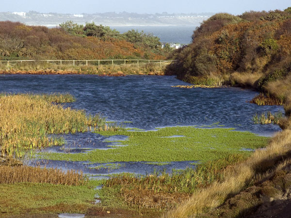 Quarry,Hengistbury Head