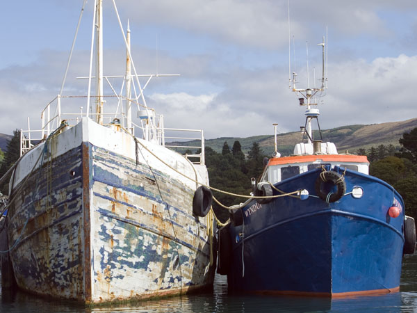 Fishing,Boats,Glengarriff