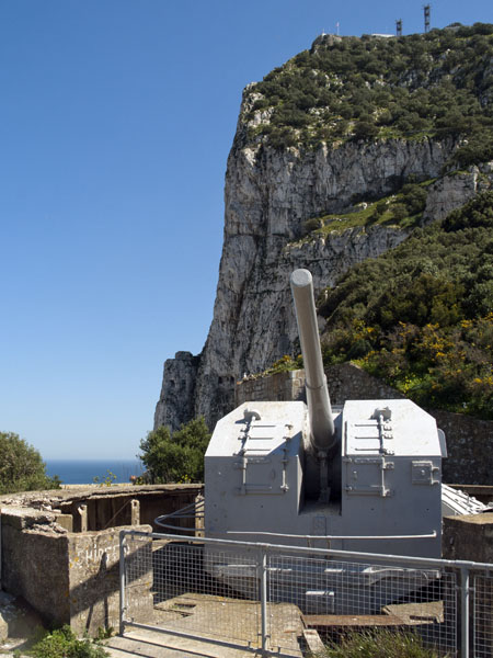 Princess Anne's Battery,No 1 Gun,5.25 Anti-aircraft Gun,World War 2