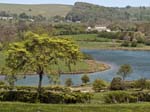 Carsington Water