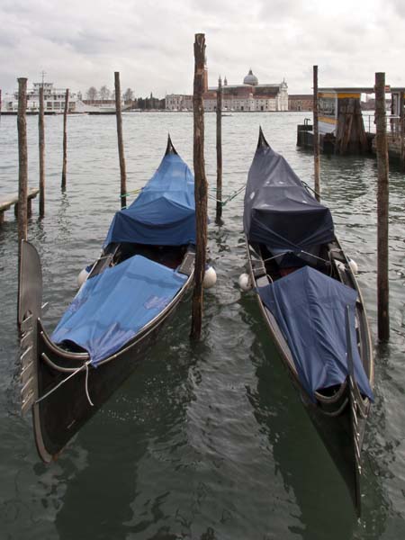 Gondolas,Riva degli Schiavoni,Venice,Venezia,Boats