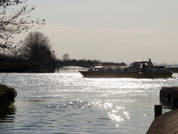 Motoscafo,Torcello,Venice,Lagoon,Boat