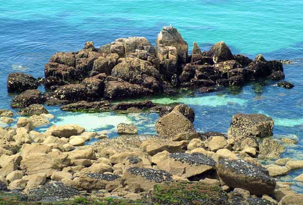 St Ives,Rocks,Island