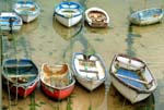 Dinghies Smeaton Pier