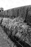 Nets - Smeaton Pier