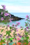 Porthgwidden Beach