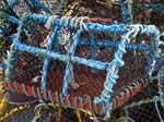 Lobster Pots