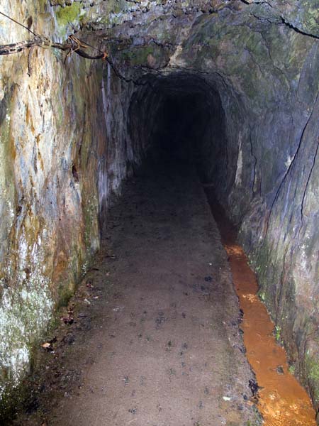 Adit,Dolaucoth Gold Mines