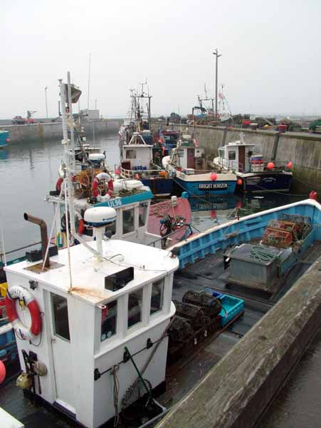 Seahouses Harbour,Fishes,Fishing Boats