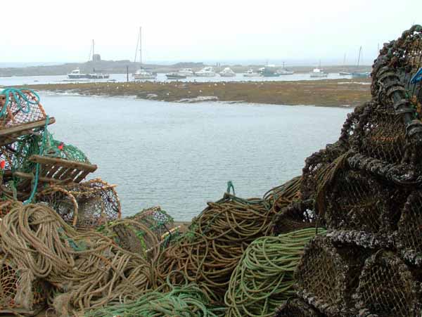 Seahouses Harbour