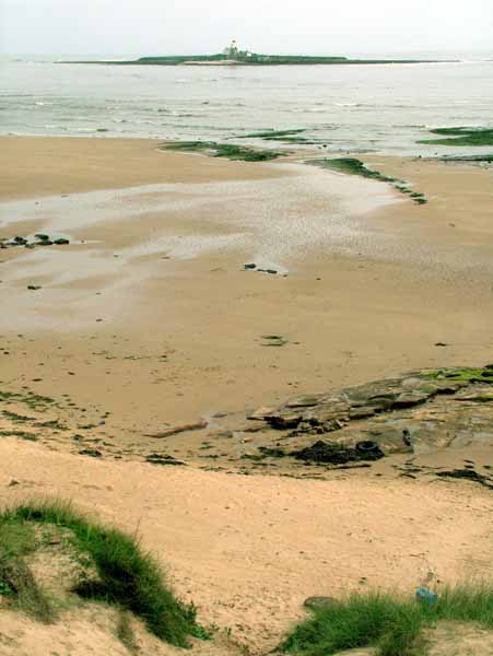 Amble,Coquet Island