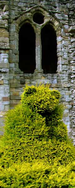Much Wenlock Priory,Topiary
