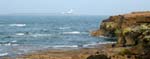 Coquet Island from Amble