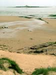 Coquet Island