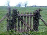 The Gate