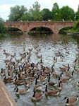The Tramway Bridge Stratford-on-Avon