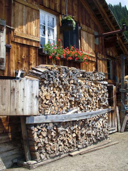 Bussalp,Farm,Chalet,Logs