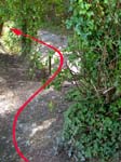 Spetisbury