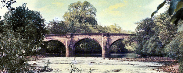 Masham Bridge,River