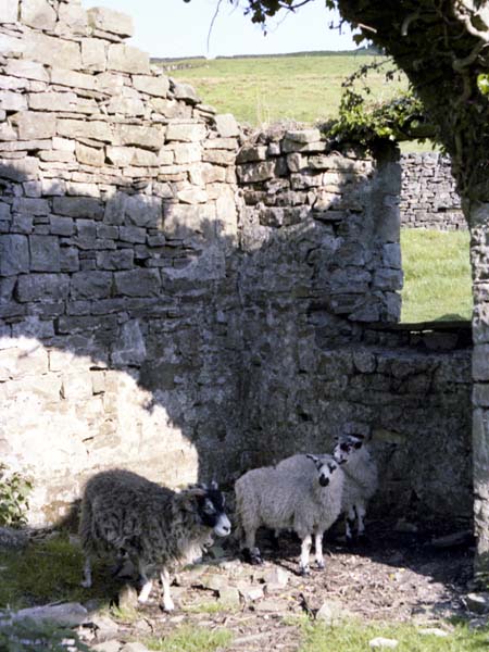 Stalling Busk,Church