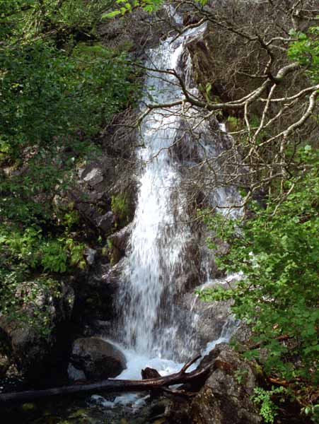 Hartsop,Dovedale,Waterfall,Falls