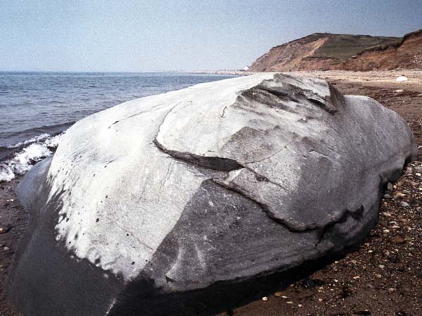 Dinas Dinlle,Rock,Cliffs