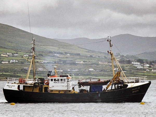 Valentia Island,Oilean Dairbhre,Knightstown,An Chois,Boat,Merlin Diver
