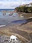Port Isaac
