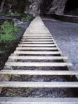 A Very Long Ladder