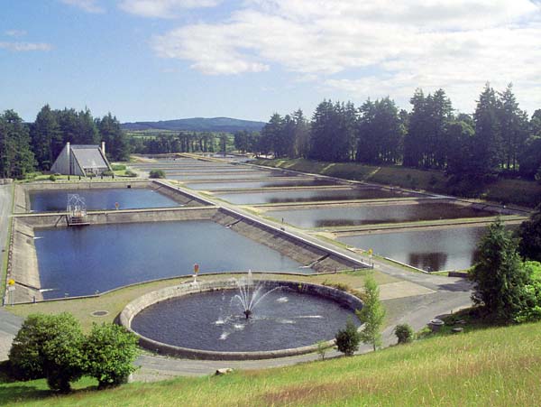 Mountains,Vartry Reservoir
