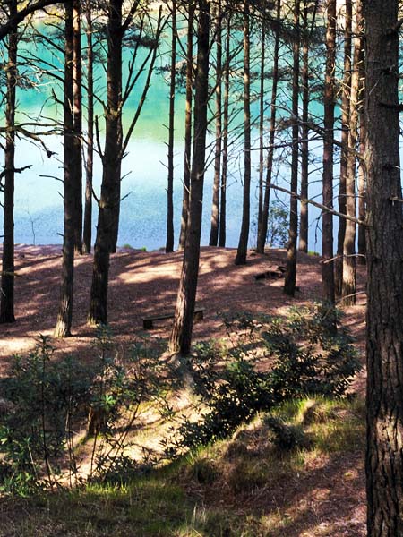 Furzebrook,Blue Pool,Lake,Clay Pit,Trees