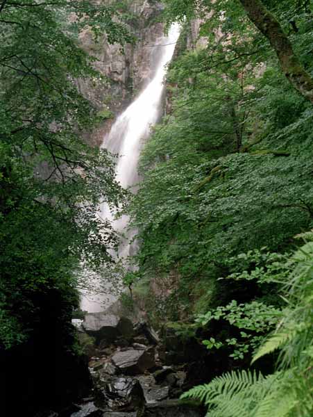 Kinlochleven,Gray Mares Tale,Waterfall,Falls
