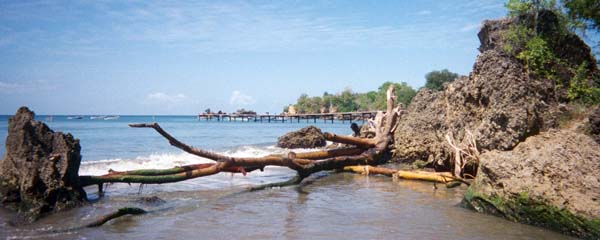 Great Courland Bay,Turtle Beach