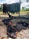 Fishing Nets