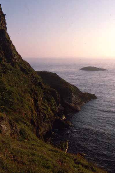 Strumble Head,Pen-Caer,Cliffs