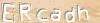 Visual Recognition Code