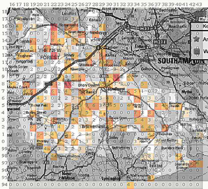 New Forest Grid